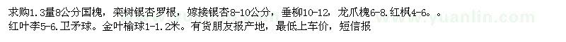 求购1.3量8公分国槐栾树银杏罗根，，10-12垂柳。