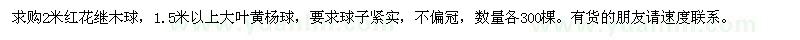 求购2米红花继木球,1.5米以上大叶黄杨球