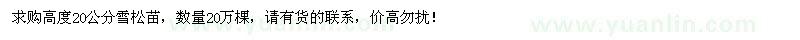 求购高度20公分雪松苗20万棵