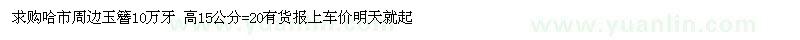 求购哈市周边玉簪10万牙 