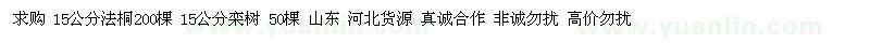 求购法桐、栾树 