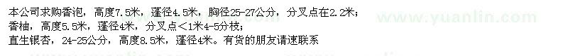 求购香泡、香柚、直生银杏