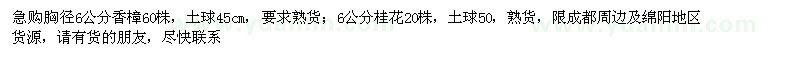 求购6公分香樟、6公分桂花，熟货。