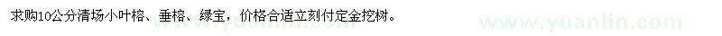 求购10公分清场小叶榕、垂榕、绿宝