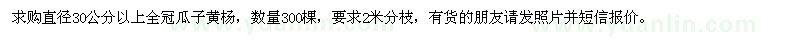 求购直径30公分瓜子黄杨