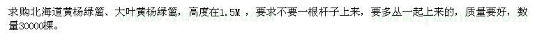 求购北海道黄杨绿篱、大叶黄杨绿篱