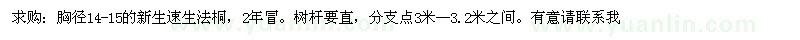 求购新生速生法桐 