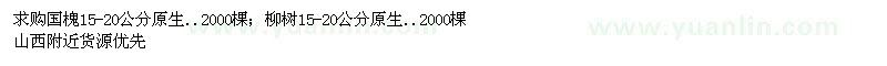 求购国槐、柳树 