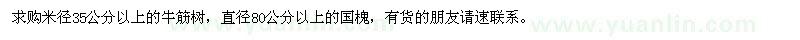 求购35公分以上的牛筋树、80公分以上的国槐