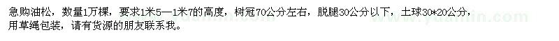 求购油松1.5米—1.7米的高度