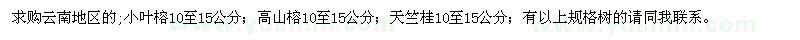 求购小叶榕、高山榕、天竺桂