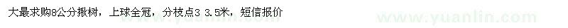 求购8公分楸树