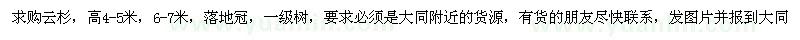 求购云杉高4-5米、6-7米