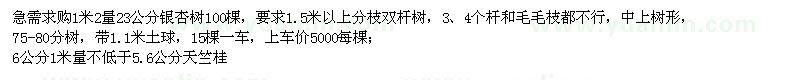 求购23公分银杏、不低于5.6公分天竺桂
