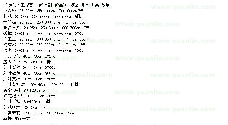 求购罗汉松、桂花、天竺桂、乐昌含笑、广玉兰、银杏