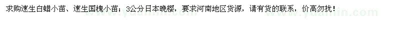 求购速生白蜡、速生国槐小苗、3公分日本晚樱