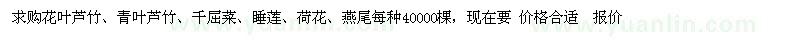 求购花叶芦竹、青叶芦竹、千屈菜、睡莲、荷花、燕尾