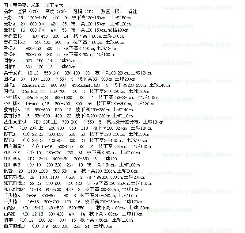 求购云杉、青扦云杉、雪松、圆柏、国槐、高干女贞、蒙古栎