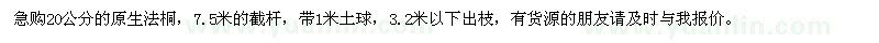 求购20公分的原生法桐