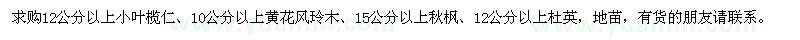 求购小叶榄仁、黄花风玲木、秋枫、杜英