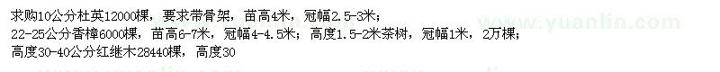 求购10公分杜英、22-25公分香樟、高度30-40公分红继木