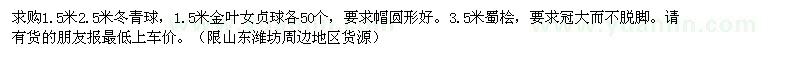 求购1.5米2.5米冬青球、1.5米金叶女贞球、3.5米蜀桧