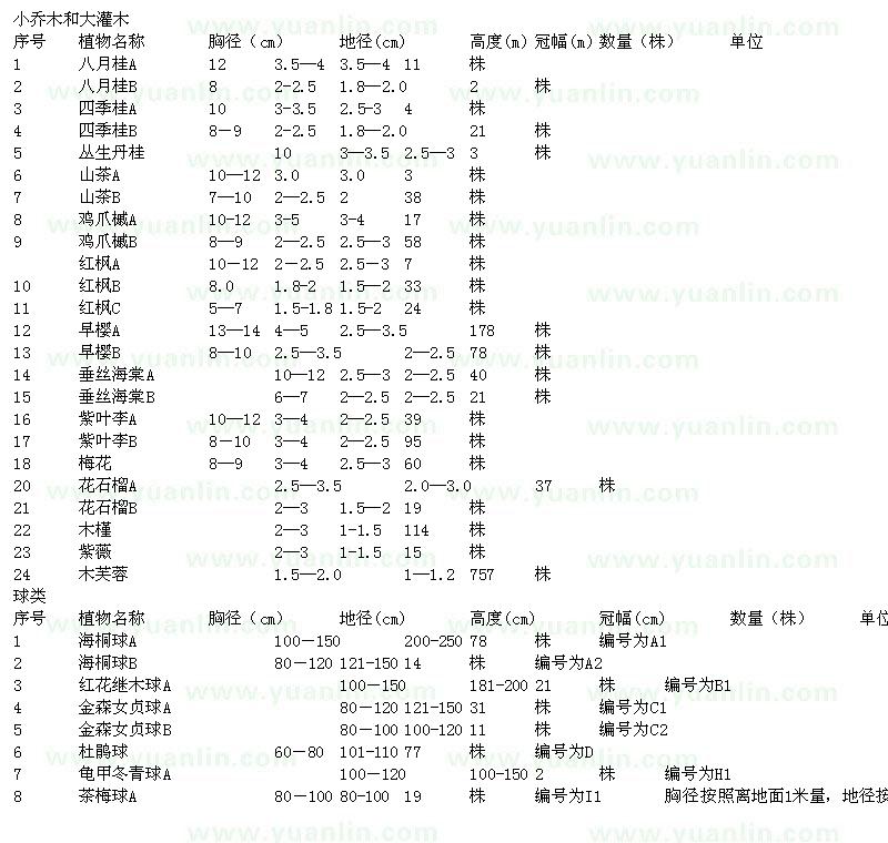 求购八月桂、四季桂、山茶、鸡爪槭等苗木