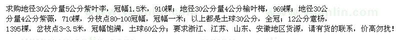 求购紫叶李、榆叶梅、紫薇、意杨