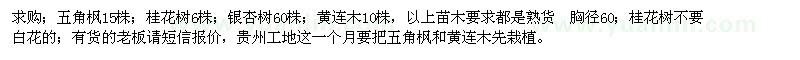 求购五角枫、桂花树、银杏树、黄连木