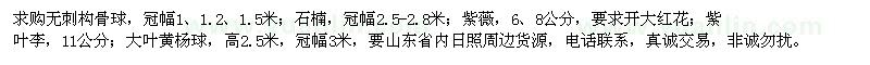 求购无刺构骨球、紫薇、紫叶李、石楠、大叶黄杨球