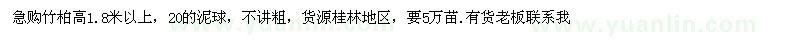 求购竹柏高1.8米以上