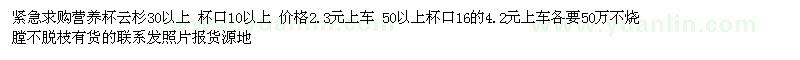 求购营养杯云杉30以上