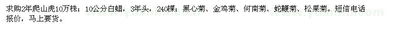 求购爬山虎、白蜡、黑心菊、金鸡菊、何南菊、蛇鞭菊