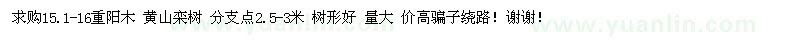 求购15.1-16公分重阳木、黄山栾树