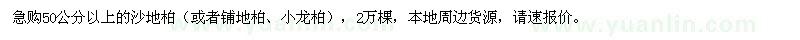 求购50公分以上沙地柏或者铺地柏、小龙柏