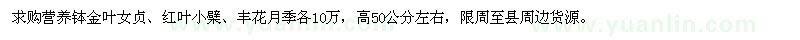 求购高50公分左右金叶女贞、红叶小檗、丰花月季
