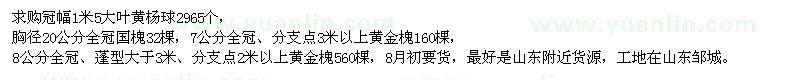 求购大叶黄杨球、黄金槐、国槐