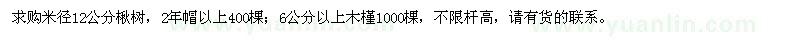 求购12公分楸树、6公分以上木槿