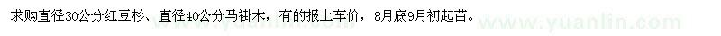 求购直径30公分红豆杉、直径40公分马褂木