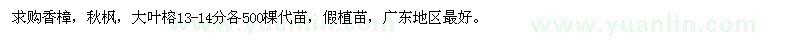 求购香樟、秋枫、大叶榕