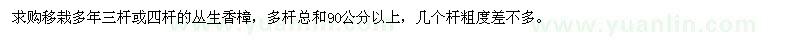 求购移栽多年三杆、四杆丛生香樟