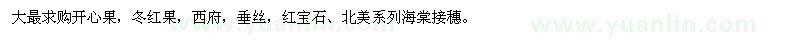 求购开心果、冬红果、西府海棠