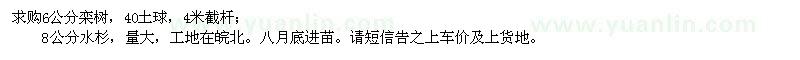 求购6公分栾树、8公分水杉