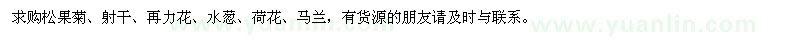 求购松果菊、射干、再力花、水葱、荷花、马兰