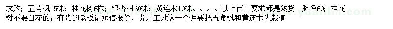 求购五角枫、桂花树、银杏树、黄连木