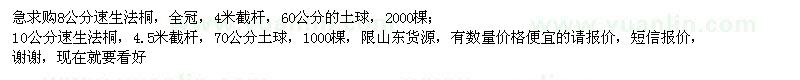 求购8、10公分速生法桐