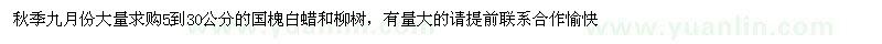 求购5-30公分国槐、白蜡、柳树