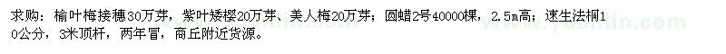 求购榆叶梅接穗、紫叶矮、美人梅、速生法桐