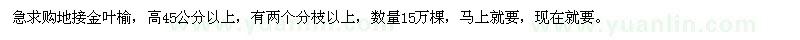 求购高45公分以上地接金叶榆