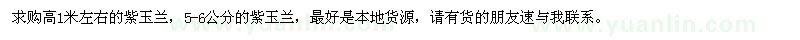 求购高1米左右、5-6公分紫玉兰
